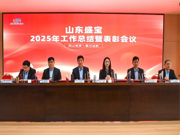 马跃新程 · 骏启华章|山东盛宝2026迎新春文艺大会